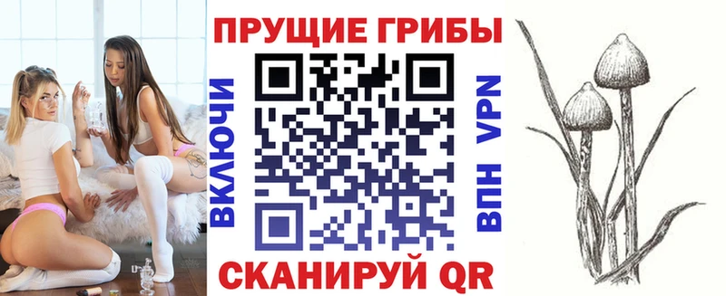 Псилоцибиновые грибы Magic Shrooms  Купить закладки  Еманжелинск 