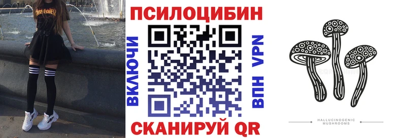 Галлюциногенные грибы Psilocybe Еманжелинск